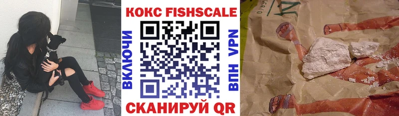Купить закладки  Апатиты  Кокаин Fish Scale 