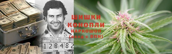 гидра Краснослободск