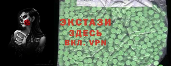 гидра Краснослободск