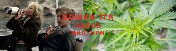 гидра Краснослободск