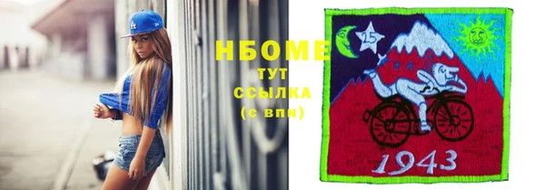 гидра Краснослободск
