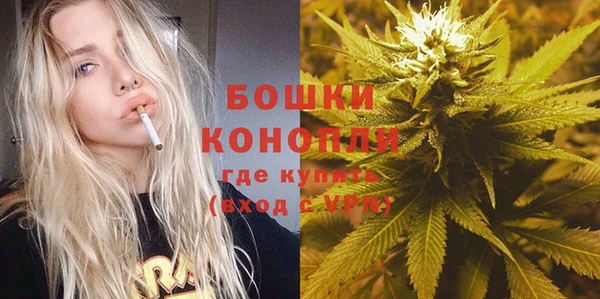 гидра Краснослободск