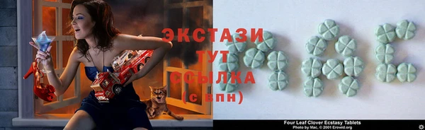 гидра Краснослободск