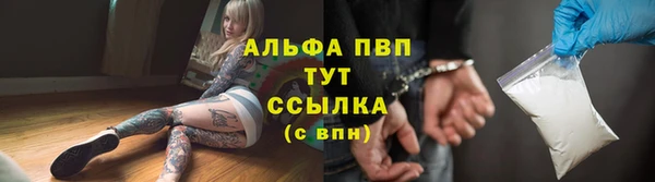 гидра Краснослободск