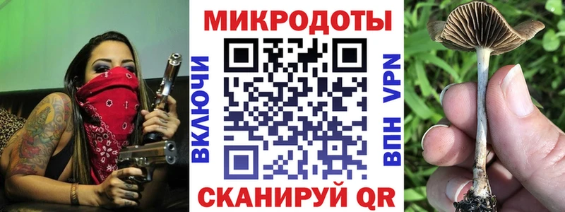 Псилоцибиновые грибы Psilocybe Купить закладки Апатиты