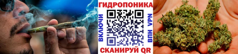 Каннабис Ganja Апатиты